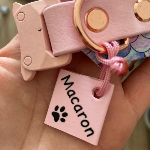 Vízálló Biothane kutyabiléta (többféle színben)