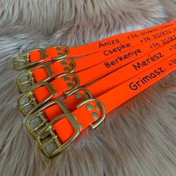 biothanenyakorv-kutyanyakorv-nevesnyakorv-vadasz nyakorv-munkanyakorv-munkakutyanyakorv