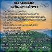 emkristaly-emkeramia-kutyanyakorv-ebnyakek-tickprotect-notick-gyongyoskutyanyakorv-fekete-kullancselleni-termeszetes-kemikaliamentes-alternativnyakorv