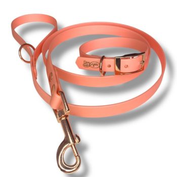 Biothane kutya nyakörv-póráz szett Rose Gold
