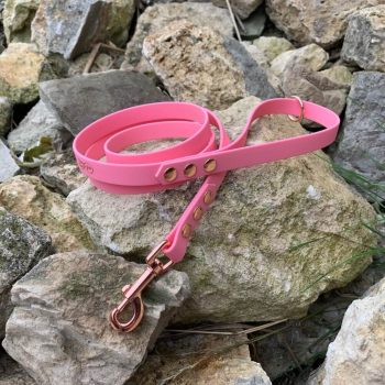 bioThane-poraz-kutyaporaz-vizalloporaz-magyartermek-handmade-rosegold