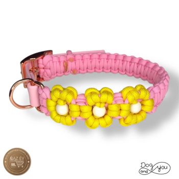 Paracord kutya nyakörvek