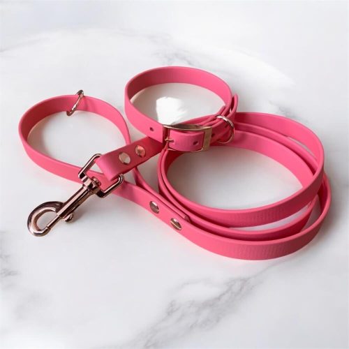 Biothane kutya nyakörv-póráz szett Lazac színű