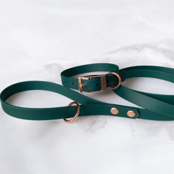 Biothane kutya nyakörv-póráz szett Méregzöld