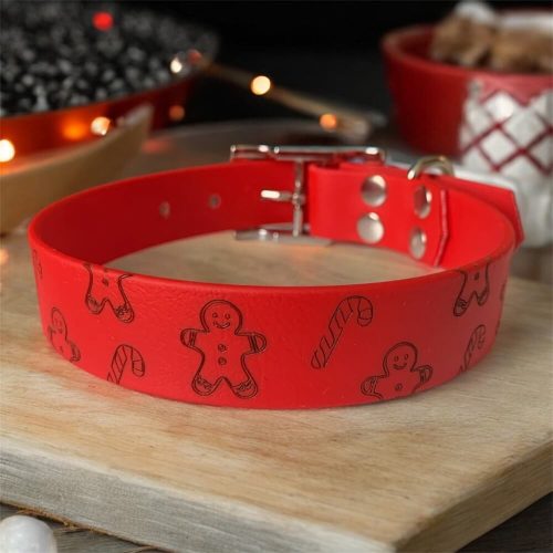 BioThane® kutya nyakörv Piros Mézike mintás 19 mm