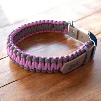 paracord-nyakorv-kutyanyakorv-allitos-ejtoernyozsinorbol-fonottnyakorv-tobbfeleszinbenelerheto-allithatonyakorv-2centimeterszeles-nyakorvkiskutyaknak