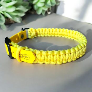 paracord-nyakorv-kutyanyakorv-allitos-ejtoernyozsinorbol-fonottnyakorv-tobbfeleszinbenelerheto-allithatonyakorv-2centimeterszeles-nyakorvkiskutyaknak