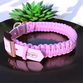 paracord-nyakorv-kutyanyakorv-allitos-ejtoernyozsinorbol-fonottnyakorv-tobbfeleszinbenelerheto-allithatonyakorv-2centimeterszeles-nyakorvkiskutyaknak